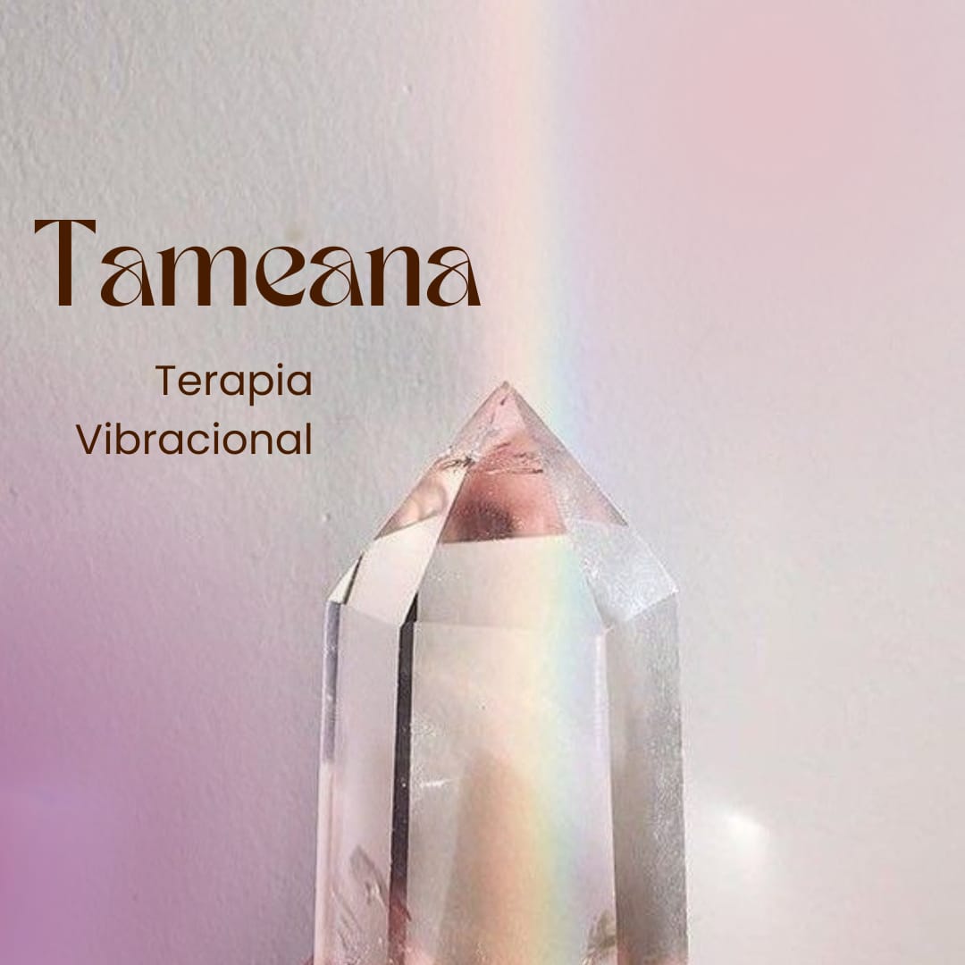 Imagem representando Tameana